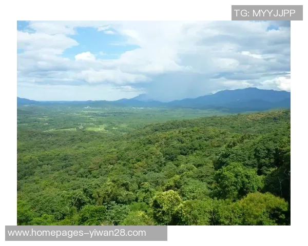 巴西圣保罗与包头精彩对决视频回顾及赛后分析